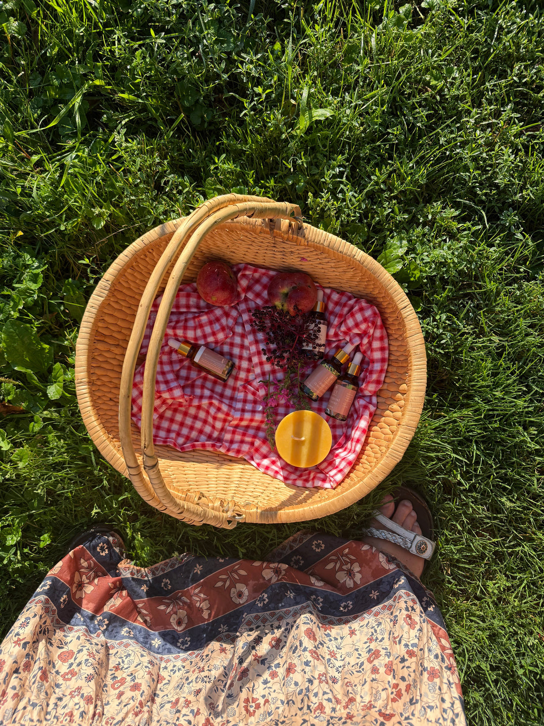 6 Flowers & Their Energetic Benefits