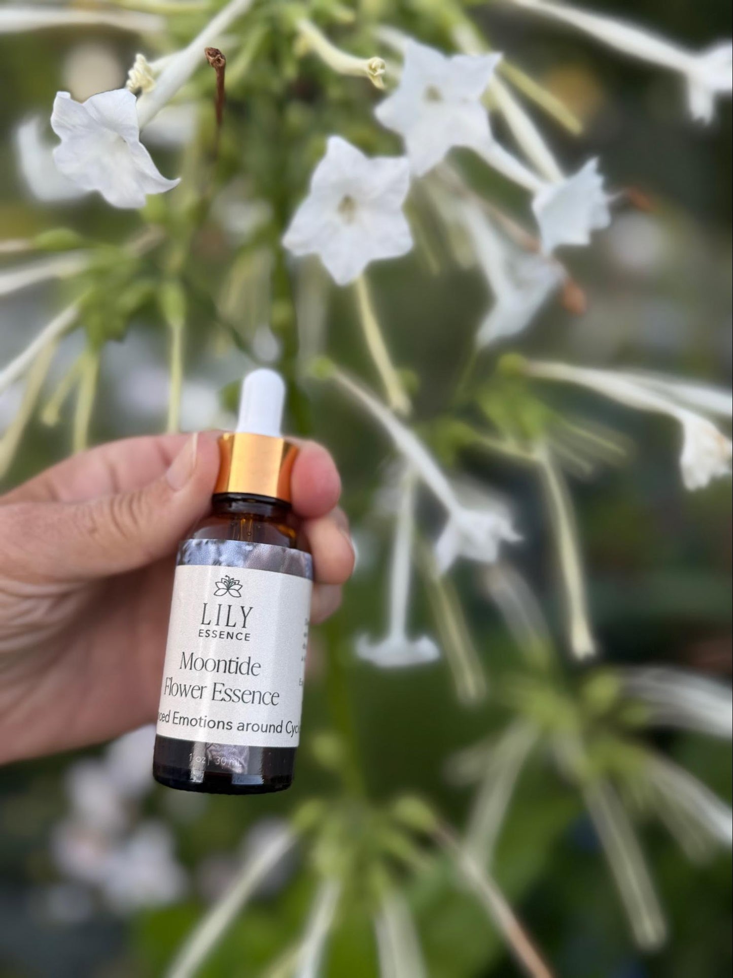 Moontide Flower Essence