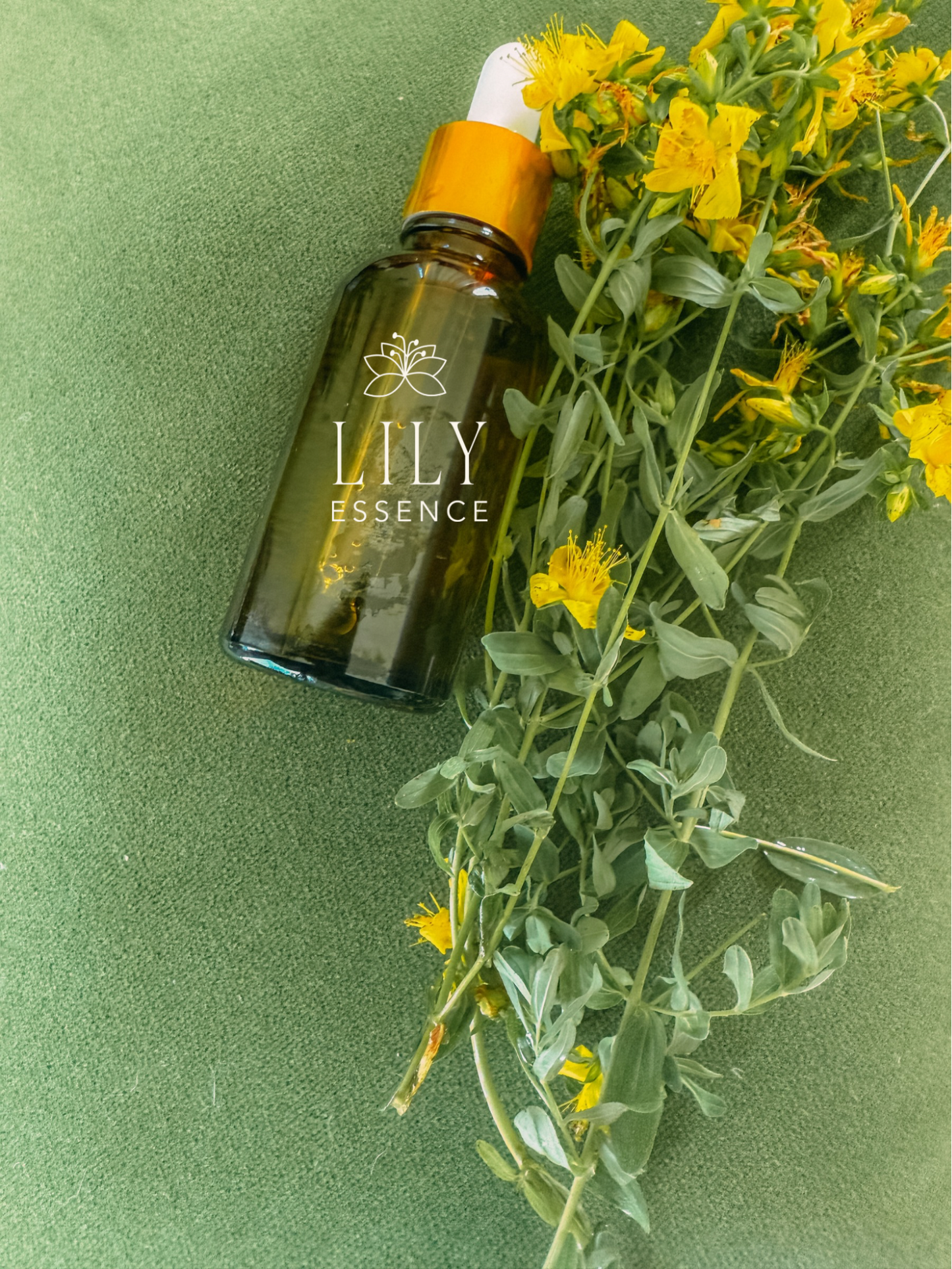 Saint John’s Wort Flower Essence