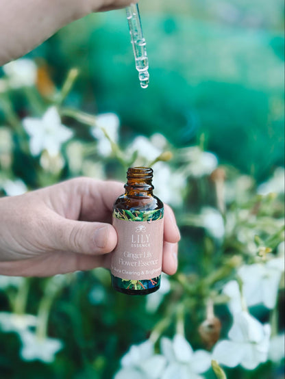 Ginger Lily Flower Essence